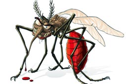 Mosquito Control West Delhi